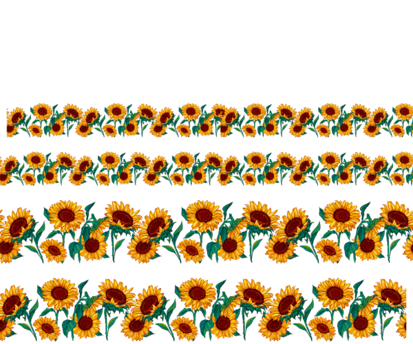 Big Sunflower Border